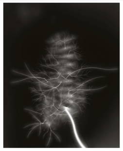 Hiroshi Sugimoto, Lightning Fields-009, 2007, Limited Edition Of 360: Photographer: Hiroshi Sugimoto is a contemporary Japanese photographer whose esoteric practice explores memory and time. Using the intrinsic quality of long exposure photography, the artist provides i