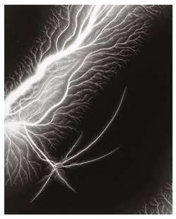 Hiroshi Sugimoto, Lightning Fields-194, 2009, Limited Edition Of 360: Photographer: Hiroshi Sugimoto is a contemporary Japanese photographer whose esoteric practice explores memory and time. Using the intrinsic quality of long exposure photography, the artist provides i