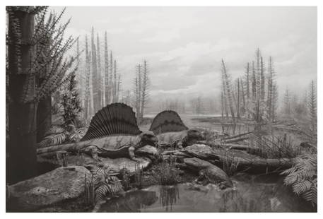 HIROSHI SUGIMOTO, PERMIAN LAND, 1992: Description Photographer: Hiroshi Sugimoto is a contemporary Japanese photographer whose esoteric practice explores memory and time. Using the intrinsic quality of long exposure photography, the artis