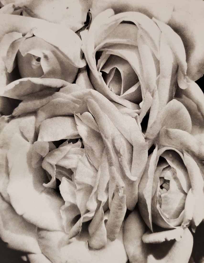 Tina Modoti, 35, 1941: Photographer: Tina Modotti (1896 - 1942) was an Italian American photographer, model, actor, and revolutionary political activist for the Comintern. She left Italy in 1913 and moved to the USA, where