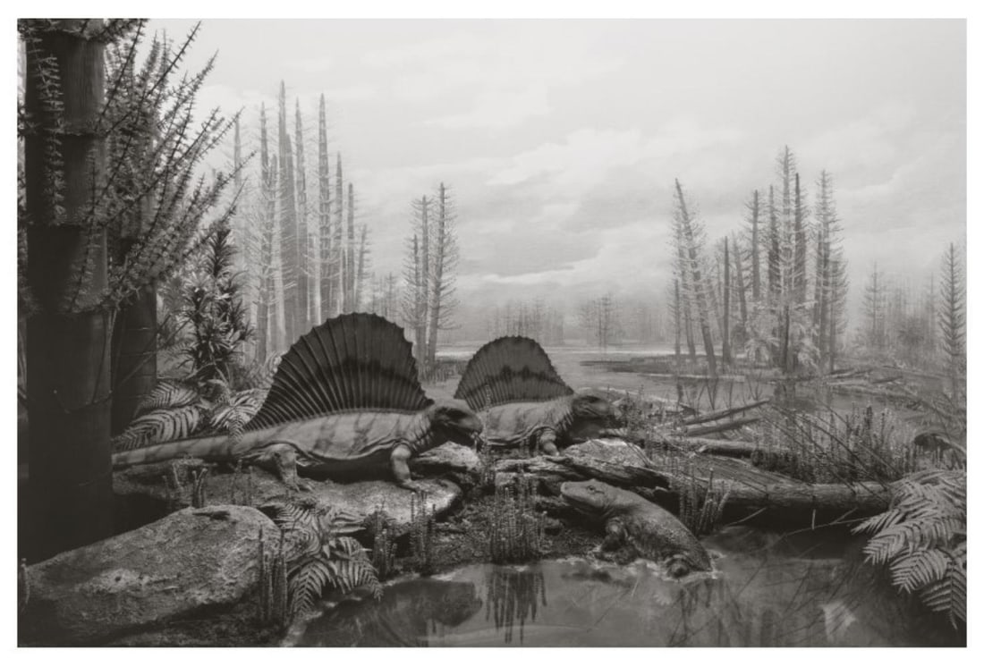Hiroshi Sugimoto, Permian Land, 1992, Limited Edition Of 360: Photographer: Hiroshi Sugimoto is a contemporary Japanese photographer whose esoteric practice explores memory and time. Using the intrinsic quality of long exposure photography, the artist provides i