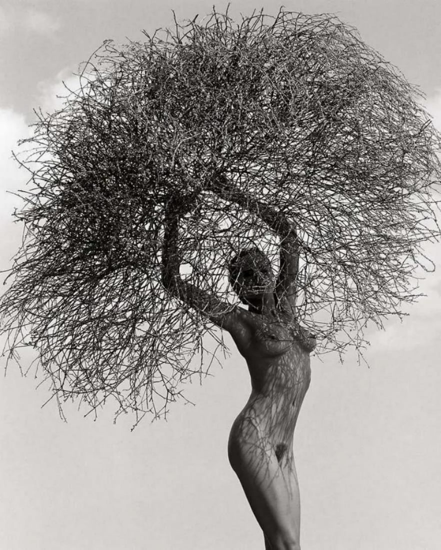 HERB RITTS - NEITH WITH TUMBLEWEED, PARADISE COVE, 1986: Photographer: Herbert "Herb" Ritts (American, 1952 - 2002) - renowned fashion, art and celebrity photographer. Title: Neith with tumbleweed, Paradise cove Date Of Negative: 1986 Type Of Print: Fine Du