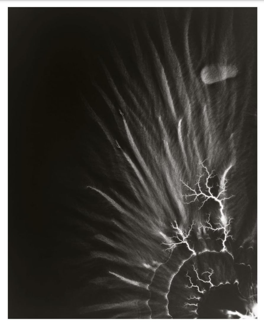 HIROSHI SUGIMOTO, TALBOTIZED-007, 2012: Description Photographer: Hiroshi Sugimoto is a contemporary Japanese photographer whose esoteric practice explores memory and time. Using the intrinsic quality of long exposure photography, the artis