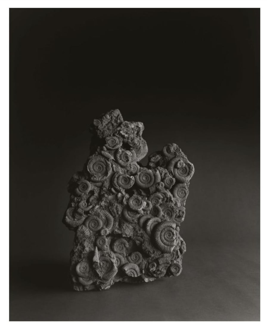 HIROSHI SUGIMOTO, PPTRO-028, 2008: Description Photographer: Hiroshi Sugimoto is a contemporary Japanese photographer whose esoteric practice explores memory and time. Using the intrinsic quality of long exposure photography, the artis