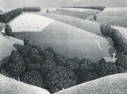 GRANT WOOD, JULY FIFTEENTH, 1938