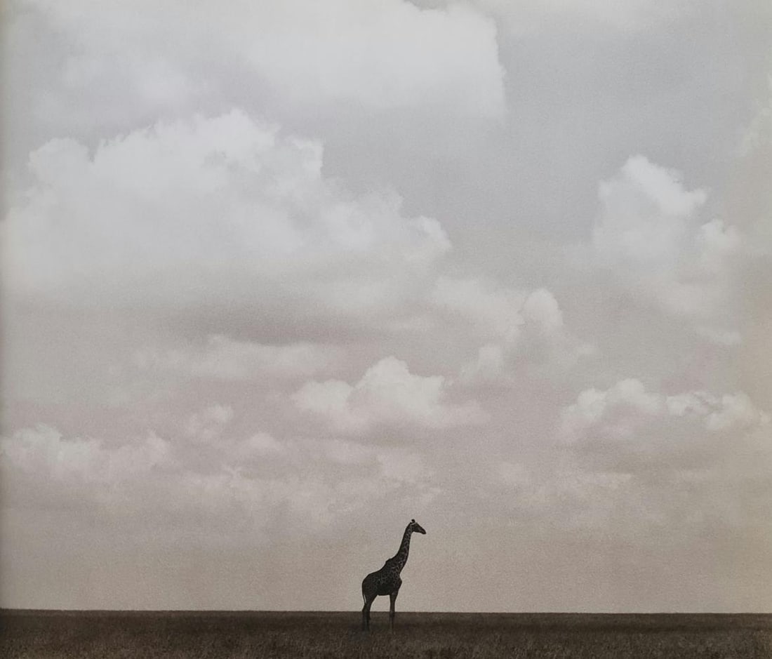 Herb Ritts, Graffee, Serengeti Plains, 1994: Photographer: Herbert "Herb" Ritts (American, 1952 - 2002) - renowned fashion, art and celebrity photographer. Subject: Graffee, Serengeti Plains Type Of Print: Fine Duotone Photo Engraving Date Of Pr