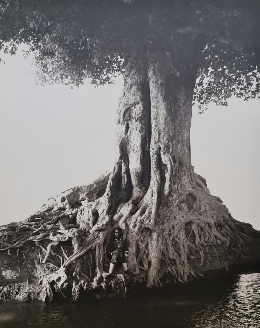 Herb Ritts, Nangini, Giant Fig Tree, Full View, 1994 (1 of 1)