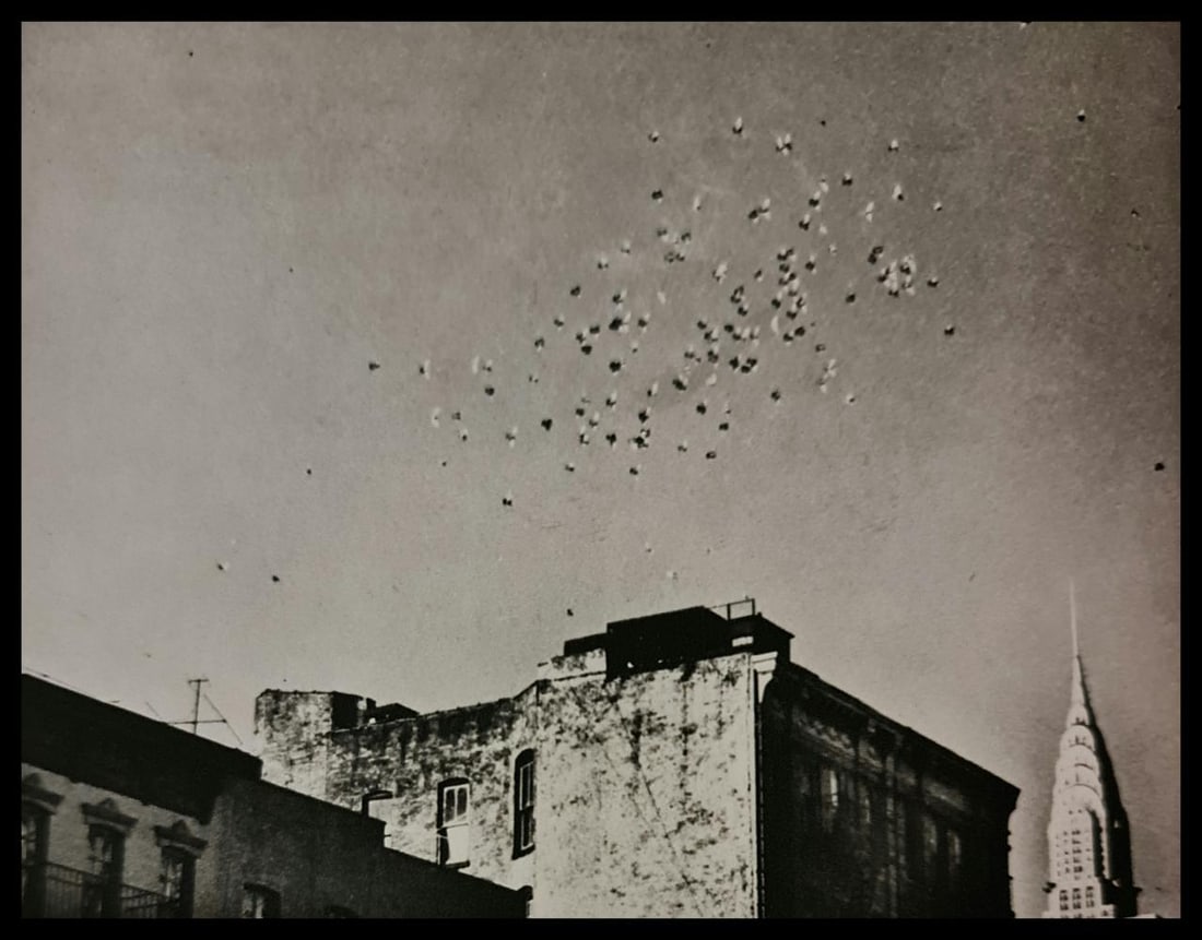 André Kertész, Birds flying, New York, 1962: Photographer: André Kertész, born Andor Kertész, was a Hungarian-born photographer known for his groundbreaking contributions to photographic composition and the photo essay. Subject: Birds flying,