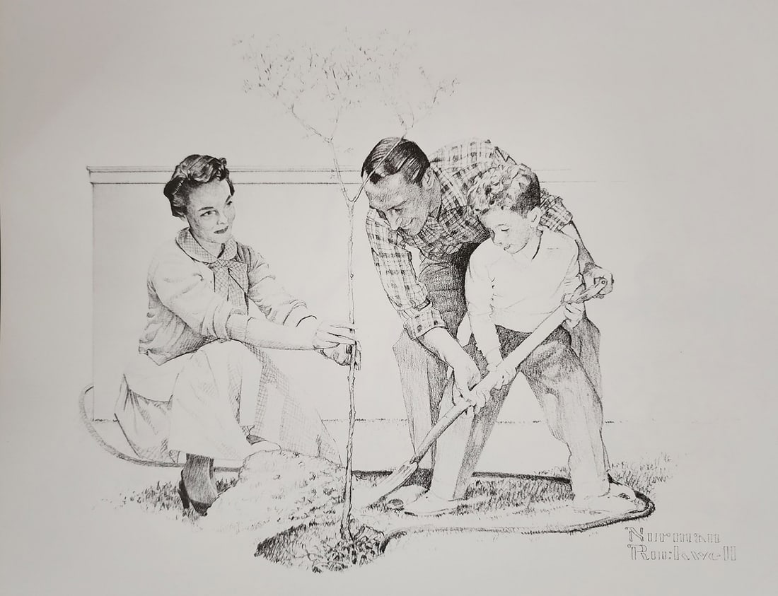 Norman Rockwell, Planting A Tree - C.1950S: Norman Rockwell "Planting a tree" from the "American Family Life" portfolio, Sketch Drawing 1950s for Massachusetts Mutual Company Media: offset lithograph on heavy cardstock paper Licensed print, Sig