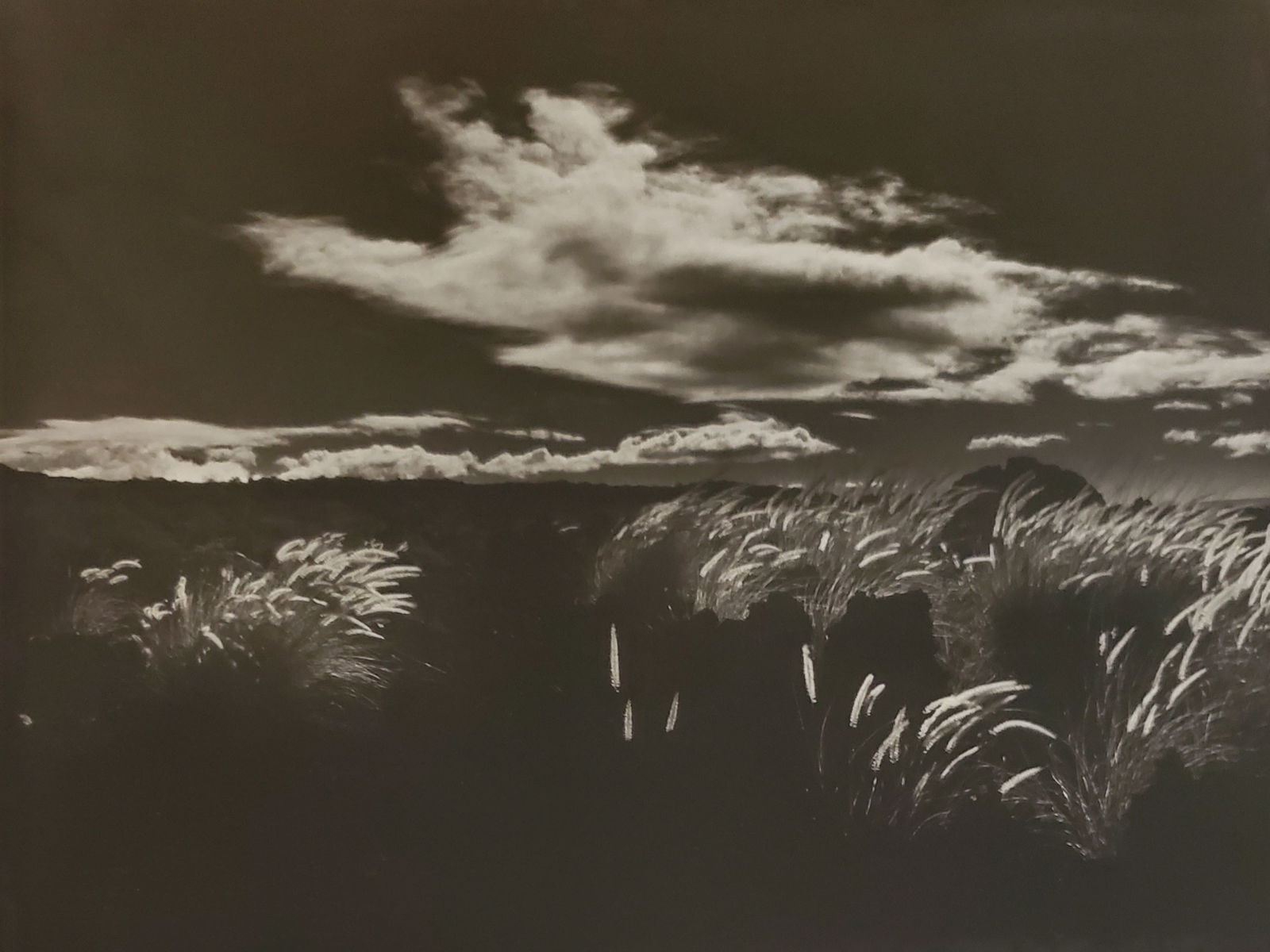 Brett Weston, Parker Ranch 1987 (1 of 1)