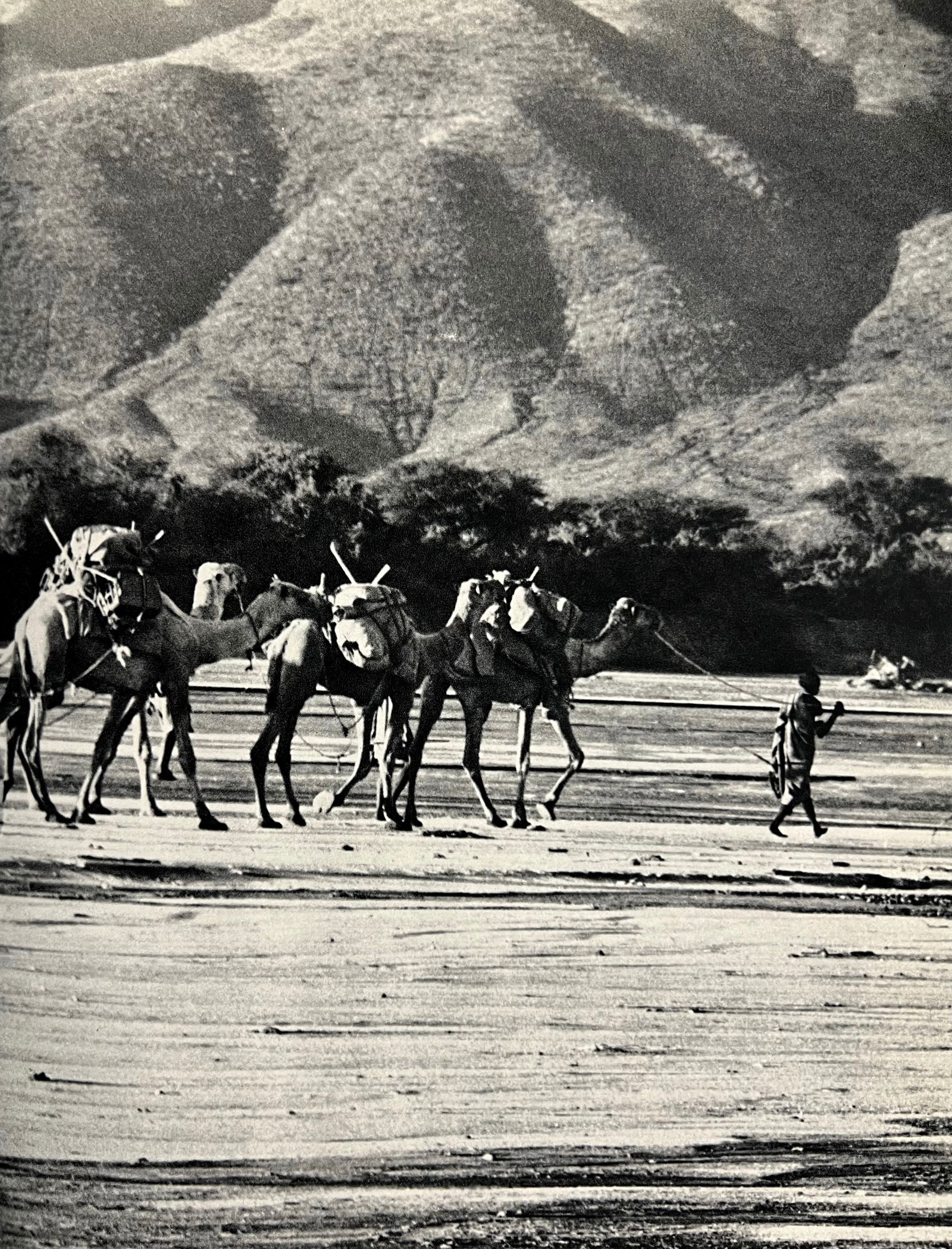 Peter Hill Beard, Safari Heading Down, 1960s: Photographer: Peter Hill Beard (January 22, 1938 – March 31 / April 19, 2020) was an American artist, photographer, diarist, and writer who lived and worked in New York City, Montauk and Kenya. His