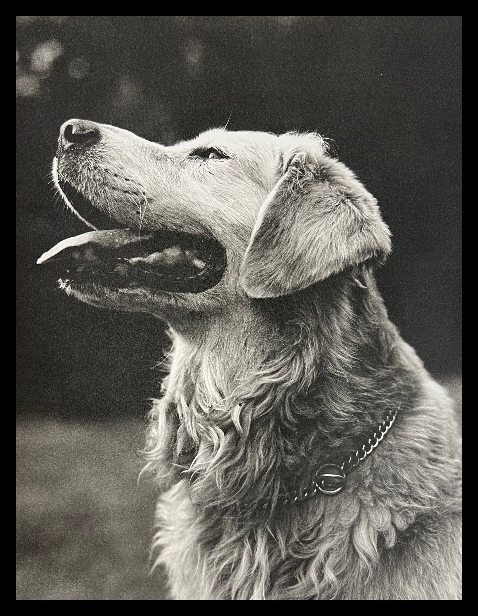 Bruce Weber, Untitled, 1988 - 6: Photographer: Bruce Weber (American, b. 1946) - internationally renowned American fashion photographer best known for his racy, erotically charged imagery. Weber has shot the ad campaigns of Calvin Kl