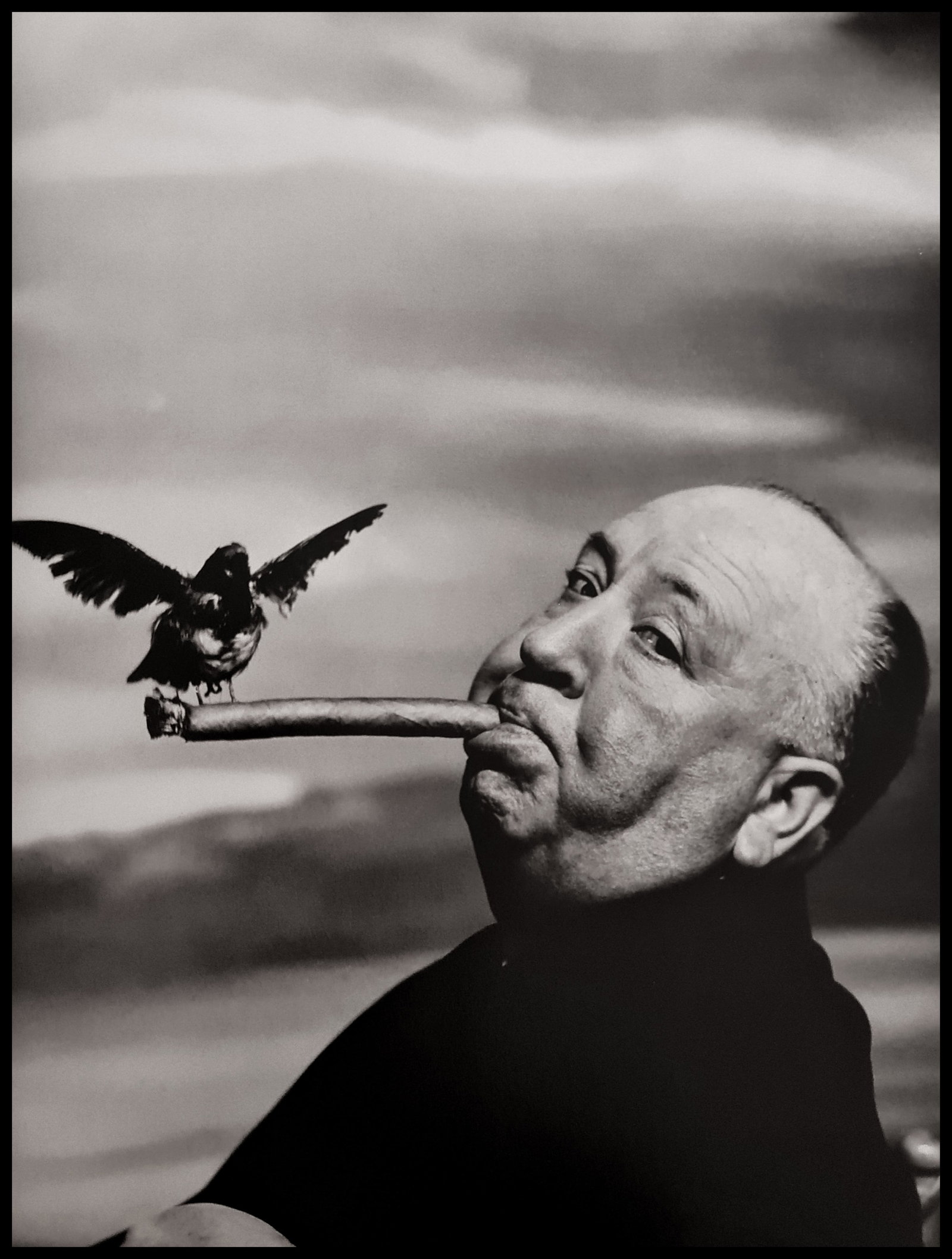 Phillipe Halsman, Alfred Hitchcock, 1963 (1 of 1)