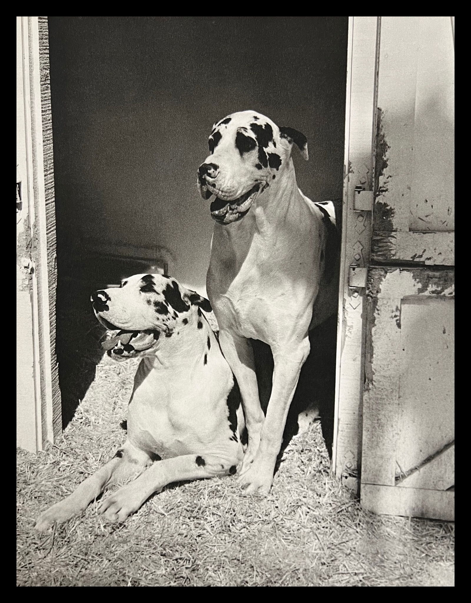 Bruce Weber, Untitled, 1988 - 10: Photographer: Bruce Weber (American, b. 1946) - internationally renowned American fashion photographer best known for his racy, erotically charged imagery. Weber has shot the ad campaigns of Calvin Kl