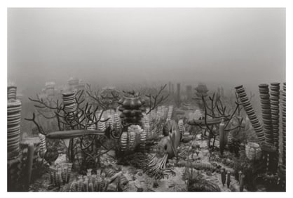 Hiroshi Sugimoto, Permian Period, 1992, Limited Edition Of 360
