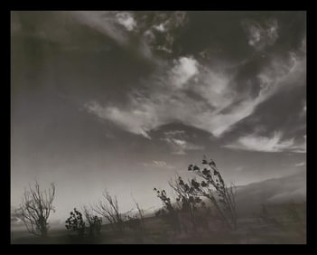 Brett Weston, Kona Coast 1989