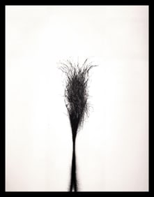 Anthony Barboza, Abstract Dreaming, 1970's