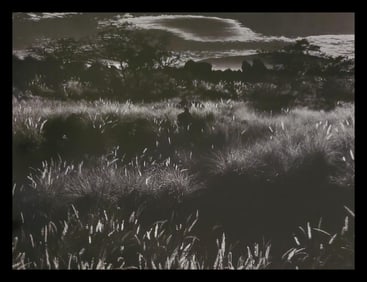 Brett Weston, Landscape, 1980