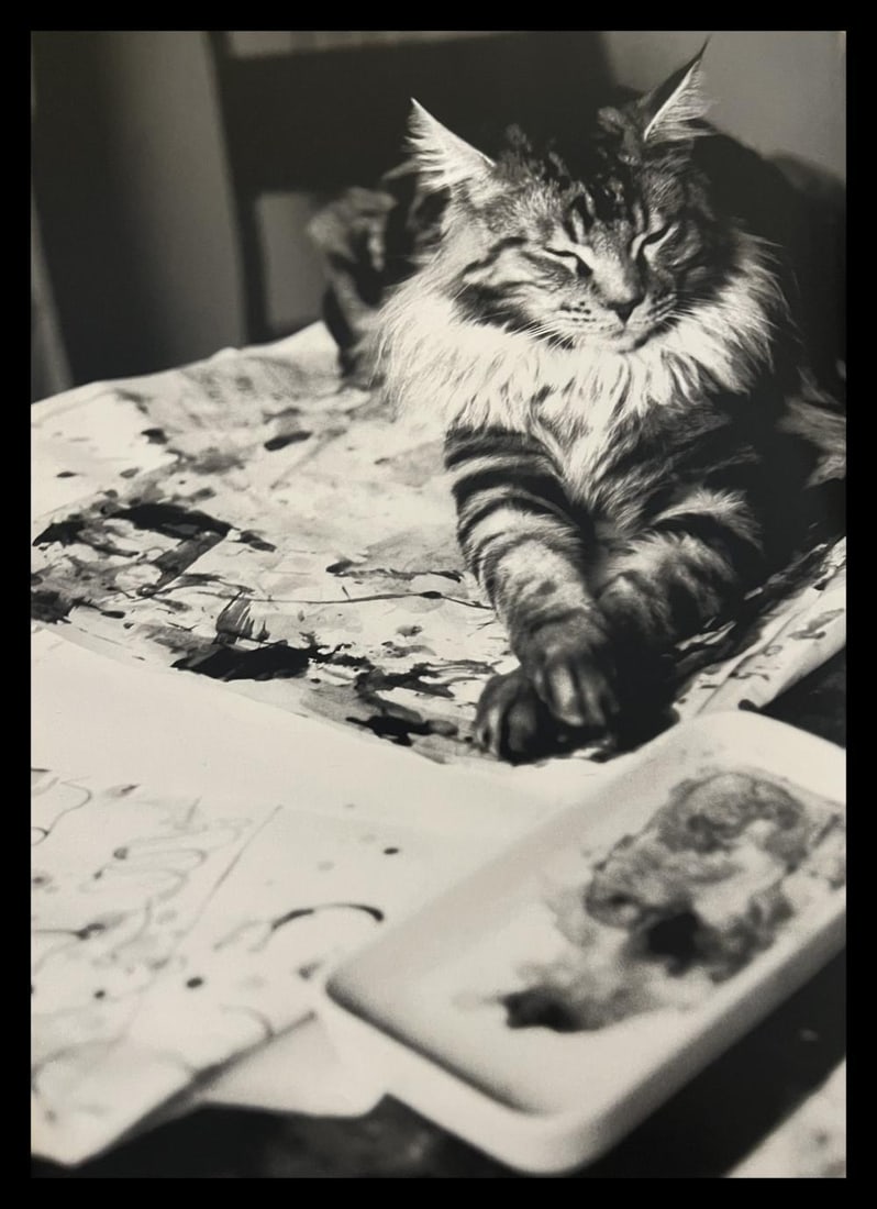 Patrick Demarchelier, Cat, New York, 1996: Photographer: PATRICK DEMARCHELIER: internationally renowned fashion and portrait photographer known for his ability to represent the true personalities of his subjects. He discovered his passion at 1