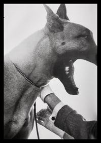 Richard Avedon, Bruno, New York studio, 1949