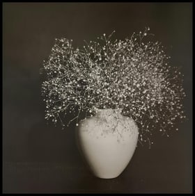 Robert Mapplethorpe, Baby's Breath, 1978