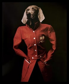 William Wegman, Courreges, 1994