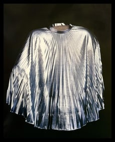 William Wegman, Duct, 1994