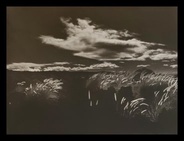 Brett Weston, Parker Ranch 1987