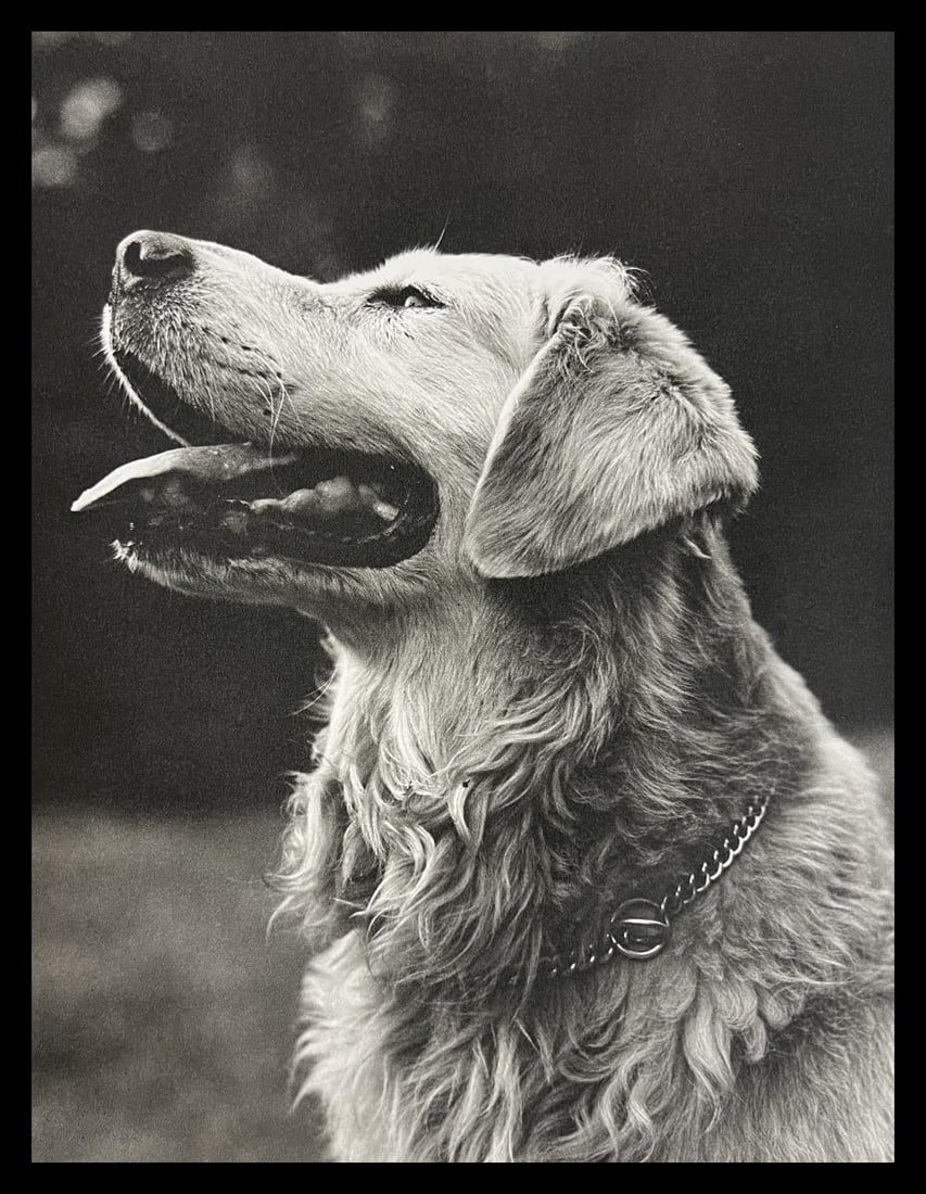 Bruce Weber, Untitled, 1988 - 6 (1 of 1)