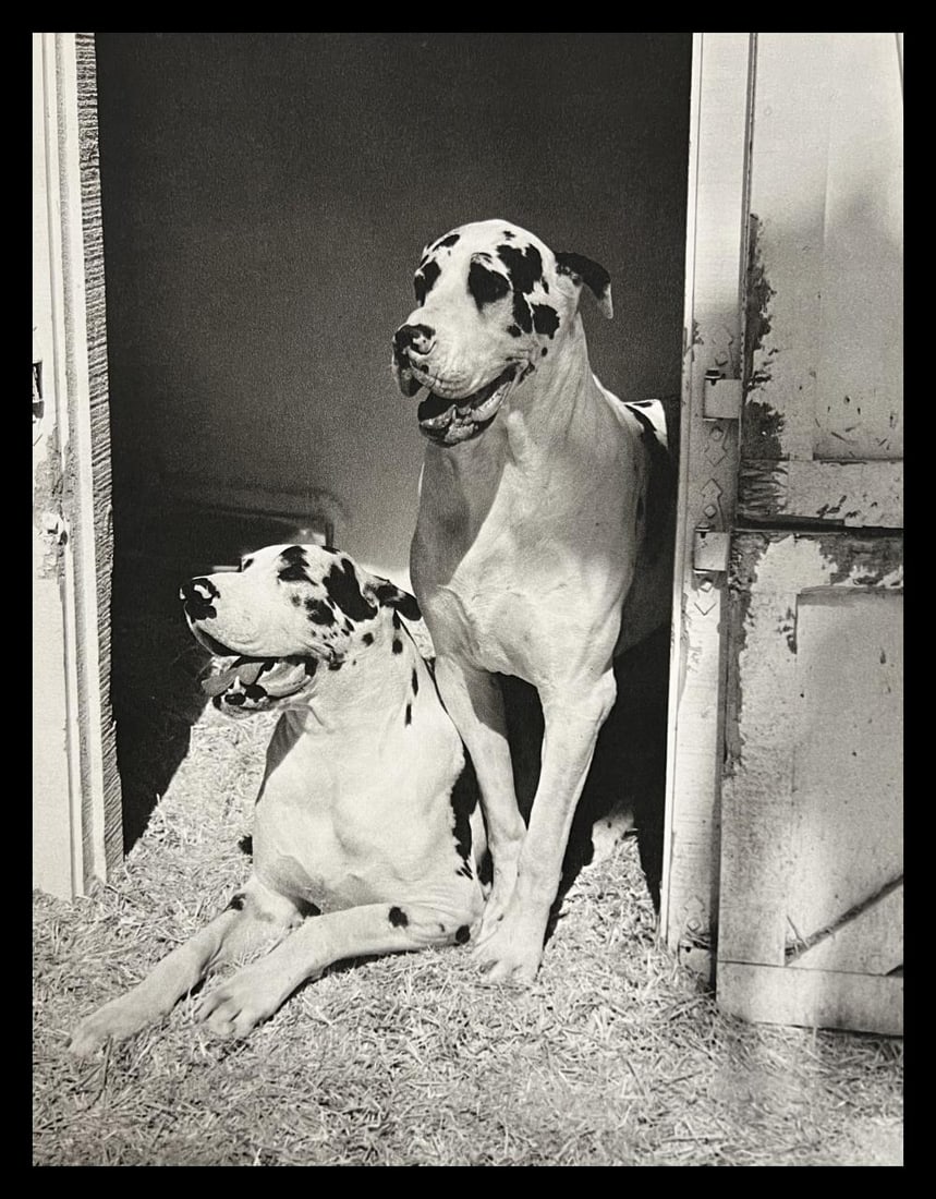 Bruce Weber, Untitled, 1988 - 10: Photographer: Bruce Weber (American, b. 1946) - internationally renowned American fashion photographer best known for his racy, erotically charged imagery. Weber has shot the ad campaigns of Calvin Kl