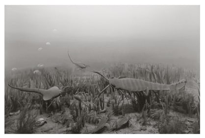 Hiroshi Sugimoto, Silurian Period, 1992, Limited Edition Of 360