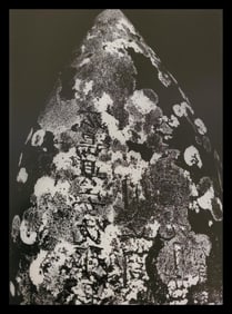 Brett Weston, Headstone, Honokaa 1991