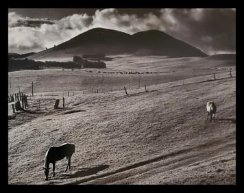 Brett Weston, Kahua Ranch 1985