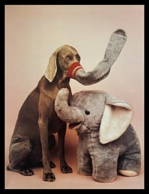 William Wegman, Elephant