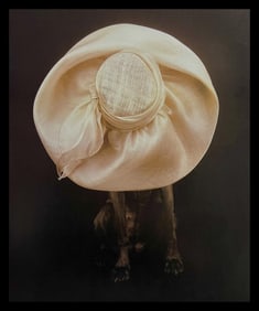 William Wegman, Cream Puff
