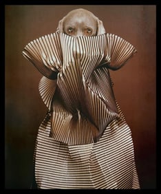 William Wegman, Evolution Of A Bottle In Space, 1999