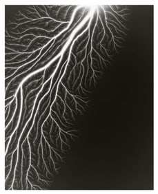 Hiroshi Sugimoto, Talbotized-009, 2012, Limited Edition Of 360