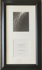 Hiroshi Sugimoto, 'Lightning Fields' I, with Hand Signed & Numbered Cutout