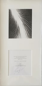 Hiroshi Sugimoto, 'Lightning Fields' II, with Hand Signed & Numbered Cutout