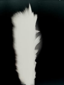 Hiroshi Sugimoto, Untitled (Flickering Candel light) - 6