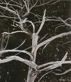 Brett Weston, Volcano 1990