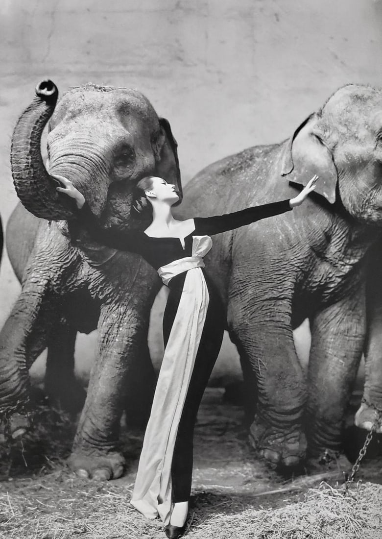 Richard Avedon, Dovima with elephants, Evening dress by Dior, Cirque d'Hiver, Paris, 1955 (1 of 1)