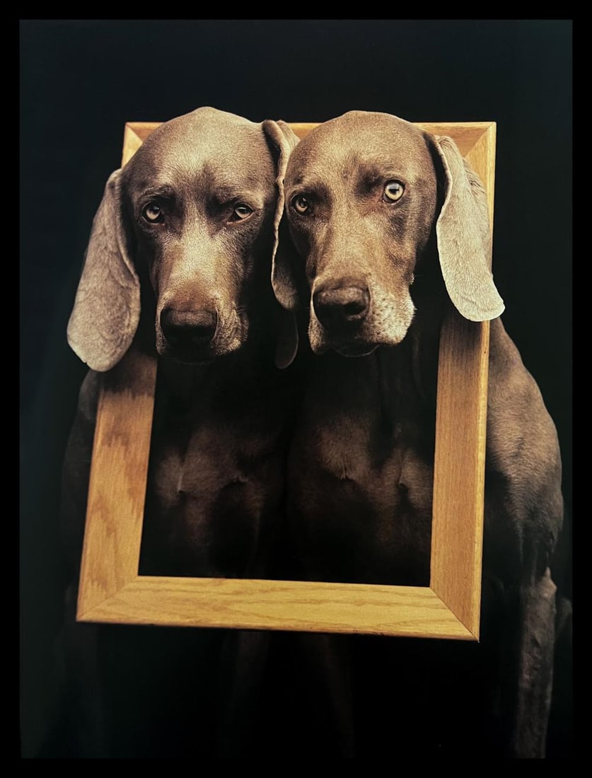 William Wegman, Framed: Photographer: William Wegman Subject/Title: Framed Type Of Print: Photogravure Date Of Print: 1994 Publisher: Library Of Congress Cataloging Approximate Image Size: 11 x 8 inches Mount Board Size Appr