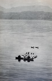 Henri Cartier Bresson, The Europeans, 24, 1955