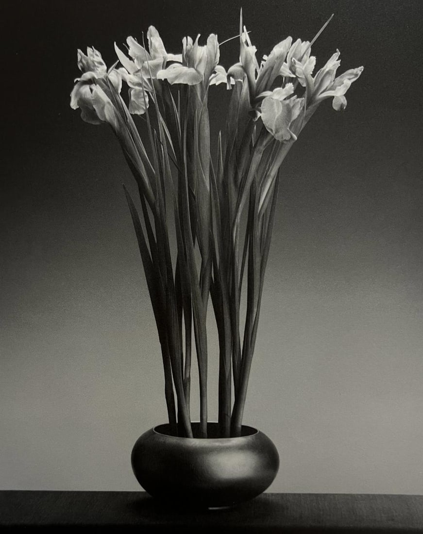 Robert Mapplethorpe, Irises, 1988 (1 of 1)