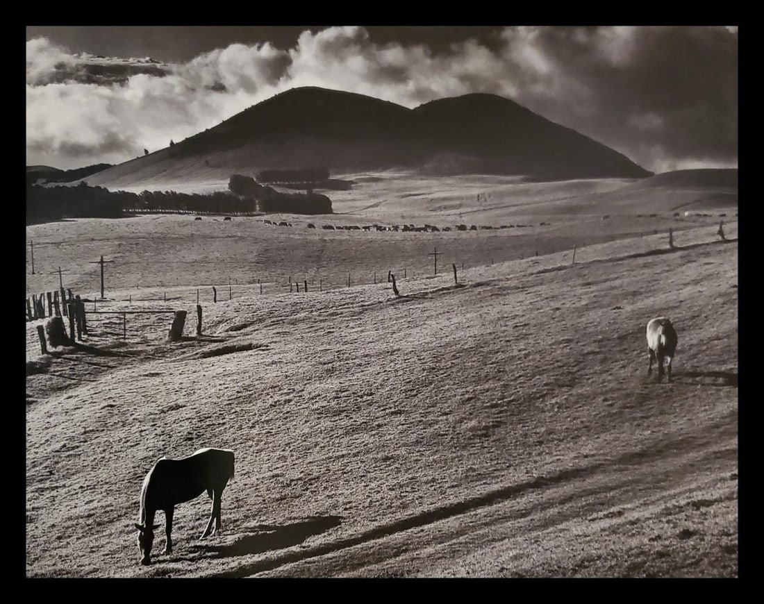 Brett Weston, Kahua Ranch 1985: Photographer: Brett Weston, American, 1911 - 1993, developed his own vision and pursued a celebrated photographic career, beginning at 13 and continuing until the end of his life. He started work in 1