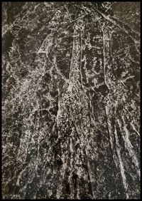 Sebastiao Salgado, 10,000 year old rock, Djanet, Algeria, 2009