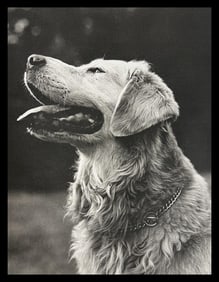 Bruce Weber, Untitled, 1988 - 6