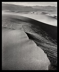 Wynn Bullock, Untitled, 1940's - 2