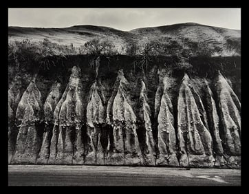 Wynn Bullock, Untitled, 1950's